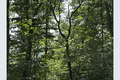 257 Andes Ridge, Ellijay, GA 30536 - Photo 12