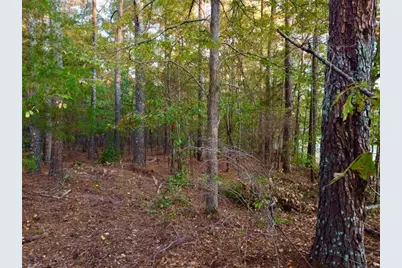 2392 Bethel Road, Conyers, GA 30012 - Photo 6