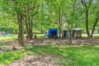 4526 Railroad Street, Oakwood, GA 30566 - Photo 38