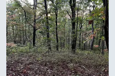 197 Stirratt Road, Ranger, GA 30734 - Photo 12