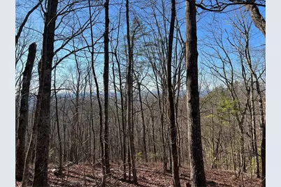 197 Stirratt Road, Ranger, GA 30734 - Photo 1