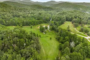 8393 Boardtown Rd, Ellijay, GA 30540 - Photo 48