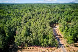 117 Laurel Brk Ln, Canton, GA 30115 - Photo 10