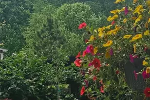 85 Ironwood Trail, Dallas, GA 30132 - Photo 34