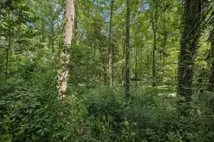 1185 Briarcliff Rd, Atlanta, GA 30306 - Photo 38