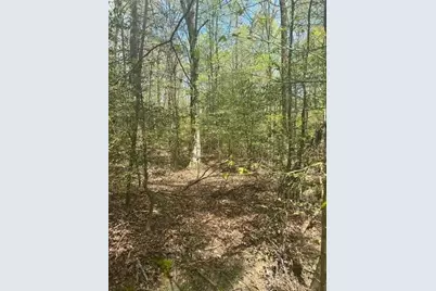 0 Holly Court, Ellijay, GA 30536 - Photo 2