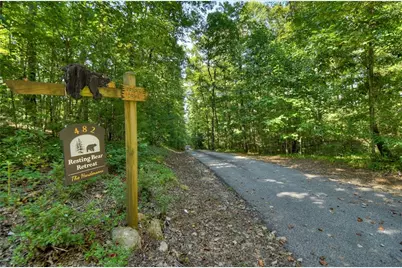 482 N Old Aska Road, Blue Ridge, GA 30513 - Photo 4