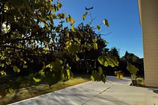 1440A Waverly Glen Dr, Alpharetta, GA 30004 - Photo 18