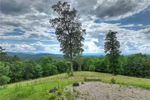 458 Blue Berry Ridge, Morganton, GA 30560 - Photo 50