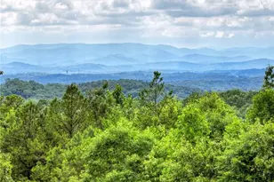 458 Blue Berry Ridge, Morganton, GA 30560 - Photo 10