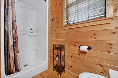 458 Blue Berry Ridge, Morganton, GA 30560 - Photo 32