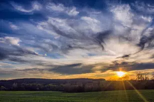 133 Laurel Brk Ln, Canton, GA 30115 - Photo 10