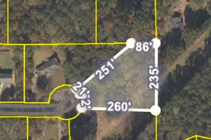 170 Pleasant Point Way, Fayetteville, GA 30214 - Photo 38