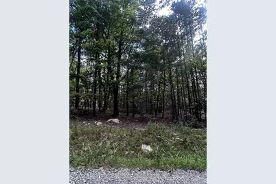 00 Elk Court, Jasper, GA 30143 - Photo 4