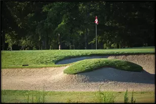 1630 Oconee Springs Dr, Statham, GA 30666 - Photo 84