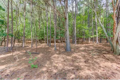 6700 Shady Grove Road, Cumming, GA 30041 - Photo 66