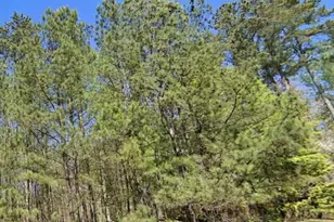 124 Aaronwood Ct, Alpharetta, GA 30004 - Photo 2