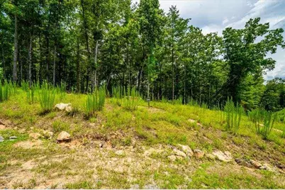 0 Ridge Drive, Morganton, GA 30560 - Photo 2