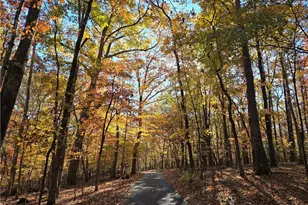 1063 Grindle Bridge Rd, Dahlonega, GA 30533 - Photo 30