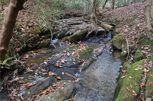 1063 Grindle Bridge Rd, Dahlonega, GA 30533 - Photo 36