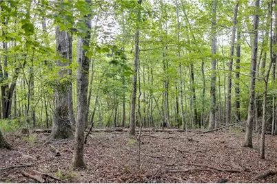 1063 Grindle Bridge Road, Dahlonega, GA 30533 - Photo 24