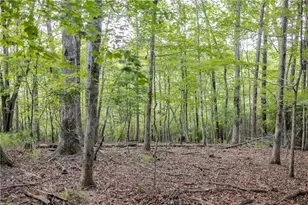 1063 Grindle Bridge Rd, Dahlonega, GA 30533 - Photo 24