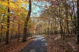 1063 Grindle Bridge Rd, Dahlonega, GA 30533 - Photo 34
