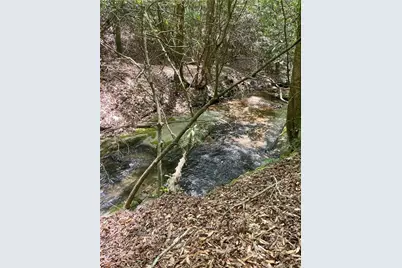 1063 Grindle Bridge Road, Dahlonega, GA 30533 - Photo 28