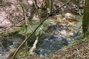 1063 Grindle Bridge Rd, Dahlonega, GA 30533 - Photo 28