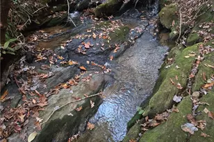 1063 Grindle Bridge Rd, Dahlonega, GA 30533 - Photo 40