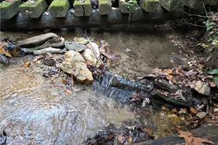 1063 Grindle Bridge Rd, Dahlonega, GA 30533 - Photo 32