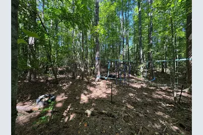 91 Hickory Creek Lane, Acworth, GA 30101 - Photo 6