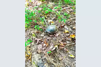 446 McGukin Road, Bremen, GA 30110 - Photo 62