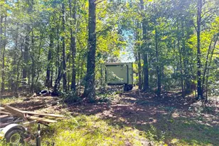 446 McGukin Rd, Bremen, GA 30110 - Photo 68