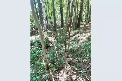 446 McGukin Road, Bremen, GA 30110 - Photo 58