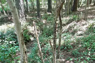 446 McGukin Rd, Bremen, GA 30110 - Photo 58