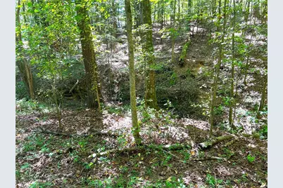 446 McGukin Road, Bremen, GA 30110 - Photo 56