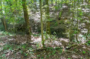 446 McGukin Rd, Bremen, GA 30110 - Photo 56