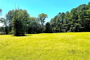 446 McGukin Rd, Bremen, GA 30110 - Photo 66