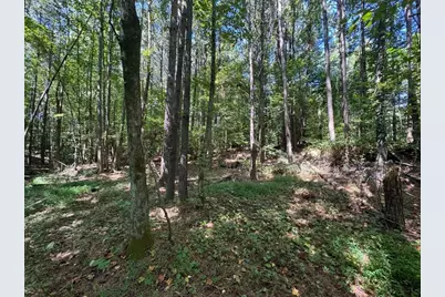 63 Hickory Creek Lane, Acworth, GA 30101 - Photo 8