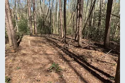 450 Beachwood Drive, Cornelia, GA 30531 - Photo 6