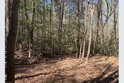 450 Beachwood Drive, Cornelia, GA 30531 - Photo 8