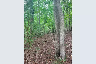 7620 Maple Place, Murrayville, GA 30564 - Photo 2