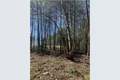 434 Beachwood Drive, Cornelia, GA 30531 - Photo 8