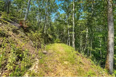 0 Debord Drive, Waleska, GA 30183 - Photo 34