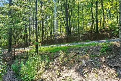 0 Debord Drive, Waleska, GA 30183 - Photo 12