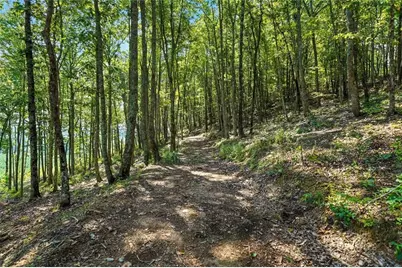 0 Debord Drive, Waleska, GA 30183 - Photo 26