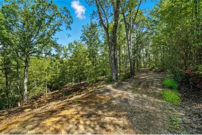 0 Debord Drive, Waleska, GA 30183 - Photo 30