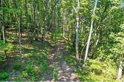 0 Debord Drive, Waleska, GA 30183 - Photo 10