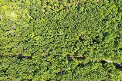 0 Debord Drive, Waleska, GA 30183 - Photo 8